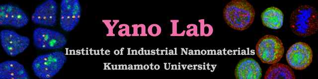 Yano Lab