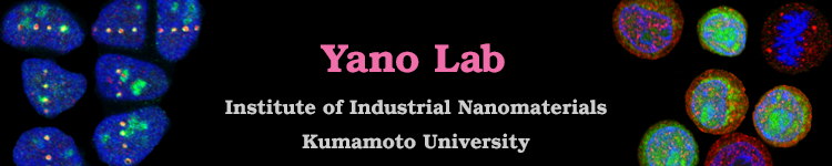 Yano Lab 矢野憲一研究室